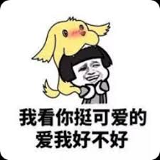 situs resmi judi sabung ayam online MAGNET by SHIBUYA 109 5F / AMNIBUS STORE 150-0041 1-23-10 Jinnan